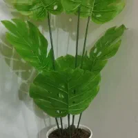 گل مصنوعی نو نو