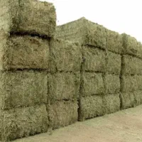 یونجه فروشی