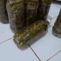 خیار شور تازه