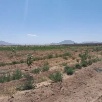 زمین-کشاورزی