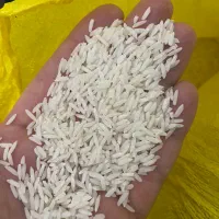 برنج هاشمی