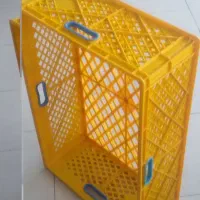 سبد مرغ فروشی فروش فوری نو نو زیر قیمت