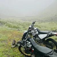 طبیعت گردی