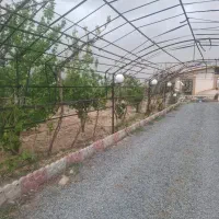 فروش زمین 700متری بر خیابان قنات