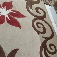 مجاهد