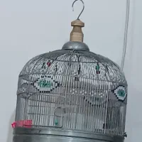 سهره قناری
