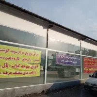 استخدام در فروشگاه زنجیره ای