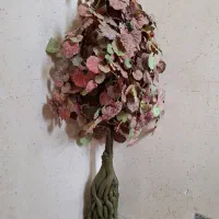 درختچه تزئینی انگور