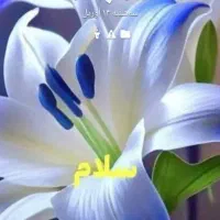 سیم کارت ۰۹۱۲۹۵۶۷۶۸۲ کد۹