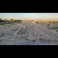 زمین-باغی