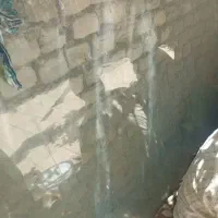 شیشه سکوریت