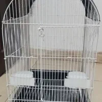 قفس پرنده