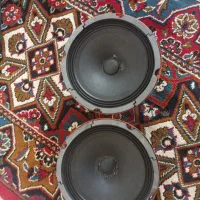 یک جفت میدرنج شیش