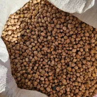 نخود دیمی کاملا اورگانیک