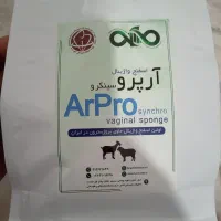 اسفنج گوسفند