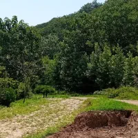 اجاره مغازه