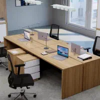 منشی مدیر عامل