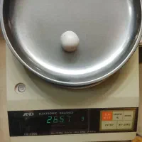 سنگ الماس آسیاب