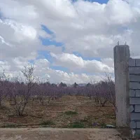 فروش معاوضه باغ سپیدان روستای دالین 1500 متر