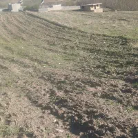 زمین-باغی-قشلاق