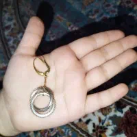 گوشواره گم شده