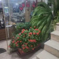 کارگر قهوه خونه
