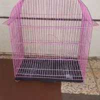 قفس سالم و نو