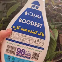 شوینده ی همه کاره ی بودیت