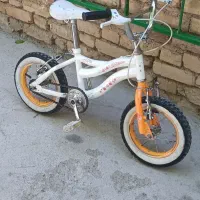 دوچرخه12درحد.