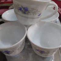 فنجان ارکوپال