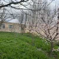 ۶۶۰ متر ویلا در نزدیکی سرعین