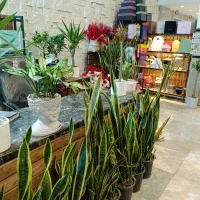 فروش دکور