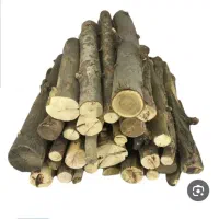 درخت میوه برای زغال