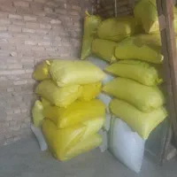 خرید فروش گشنیز