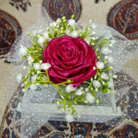 باکس تک شاخه گل رز روبانی سرخابی فول شاین