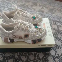 کفش|کیف، کفش، کمربند|اردبیل, |دیوار