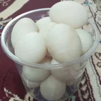 تخم اردک سالم