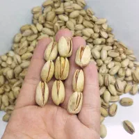 فروش پسته اکبری