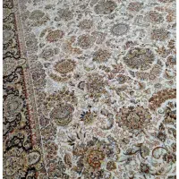 فرش قیطران دوتا۹دوتا۶متری۱۲۰۰تراکم ۳۶۰۰
