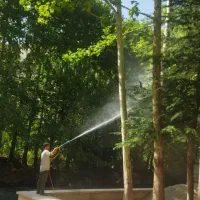 سم پاشی و باغبانی