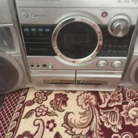 ظبط