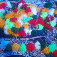 شیردنگ ۲۰متری