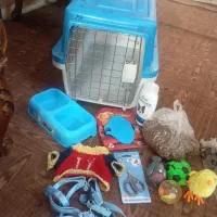 باکس سگ