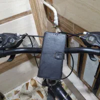 دچرخه ویوا