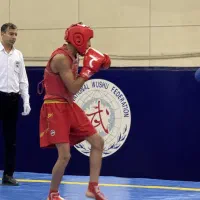 آموزش ووشو کنگفو شائولین بوکس چینی