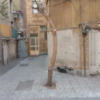 281 متر کلنگی بر 15 دستور نقشه 5 روی پیلوت