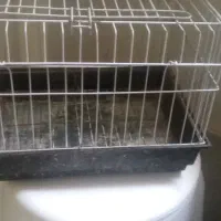 قفس