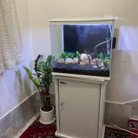 اکواریوم شیشه خم