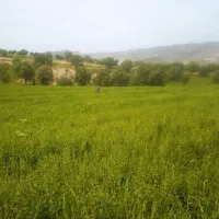 زمین .