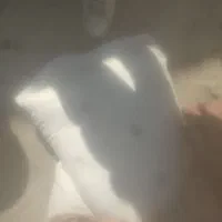 ارد تازه به فلکه خلیج فارس به فروش می‌رسد